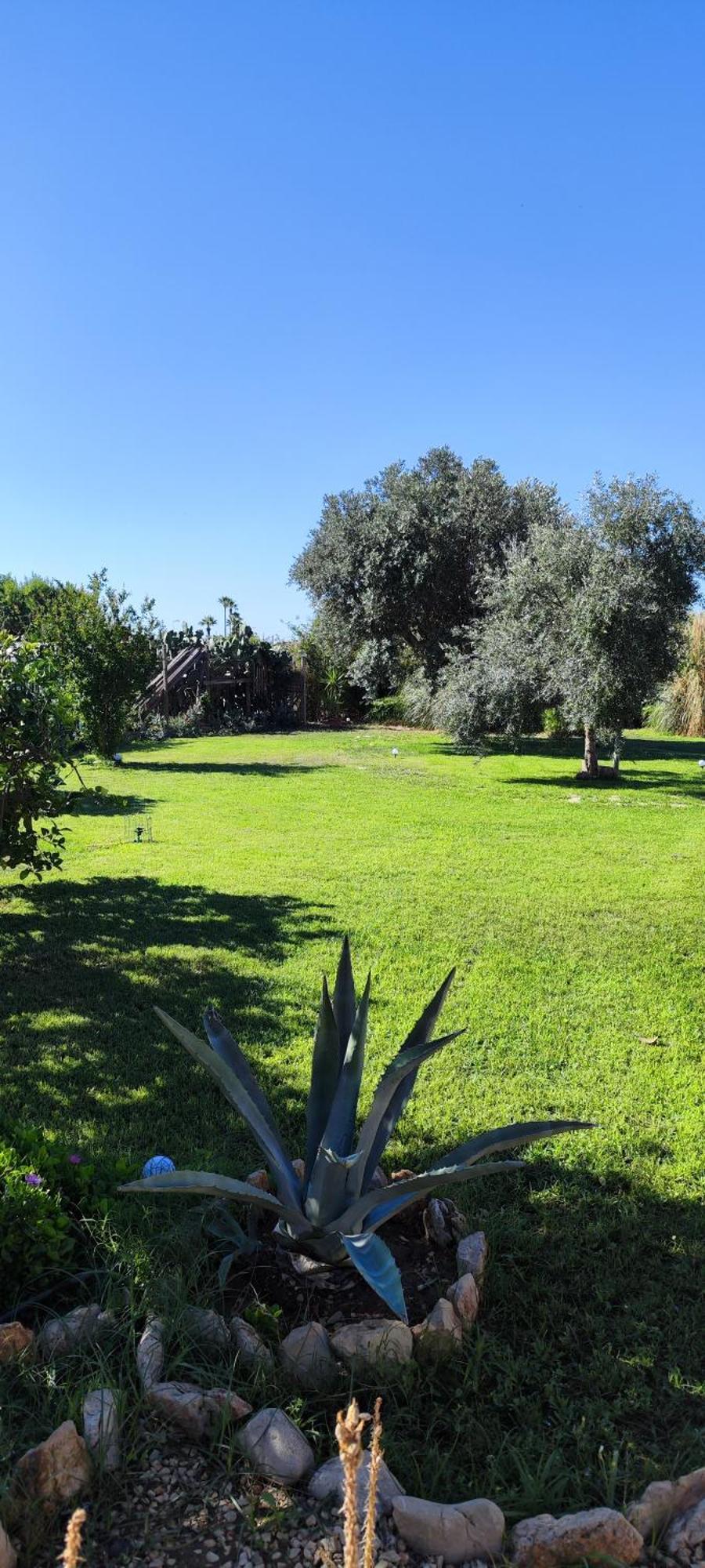 Villa Giummarito B&B Scicli Esterno foto